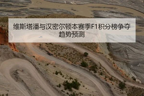 维斯塔潘与汉密尔顿本赛季F1积分榜争夺趋势预测 - loltouzhu
